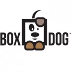 Box Dog