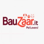 Bauzaar IT